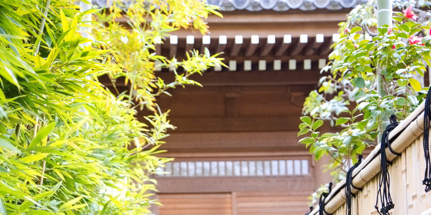 Tokyo: Wedding Photo Tour dengan 3 Lokasi & Pro Styling